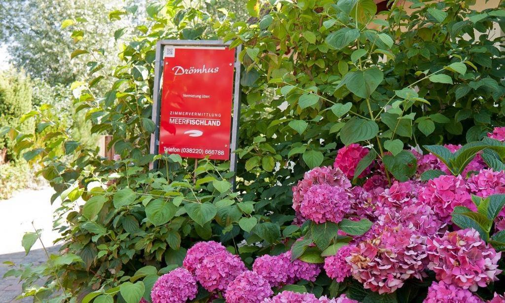 Droemhus Villa Ahrenshoop Eksteriør bilde